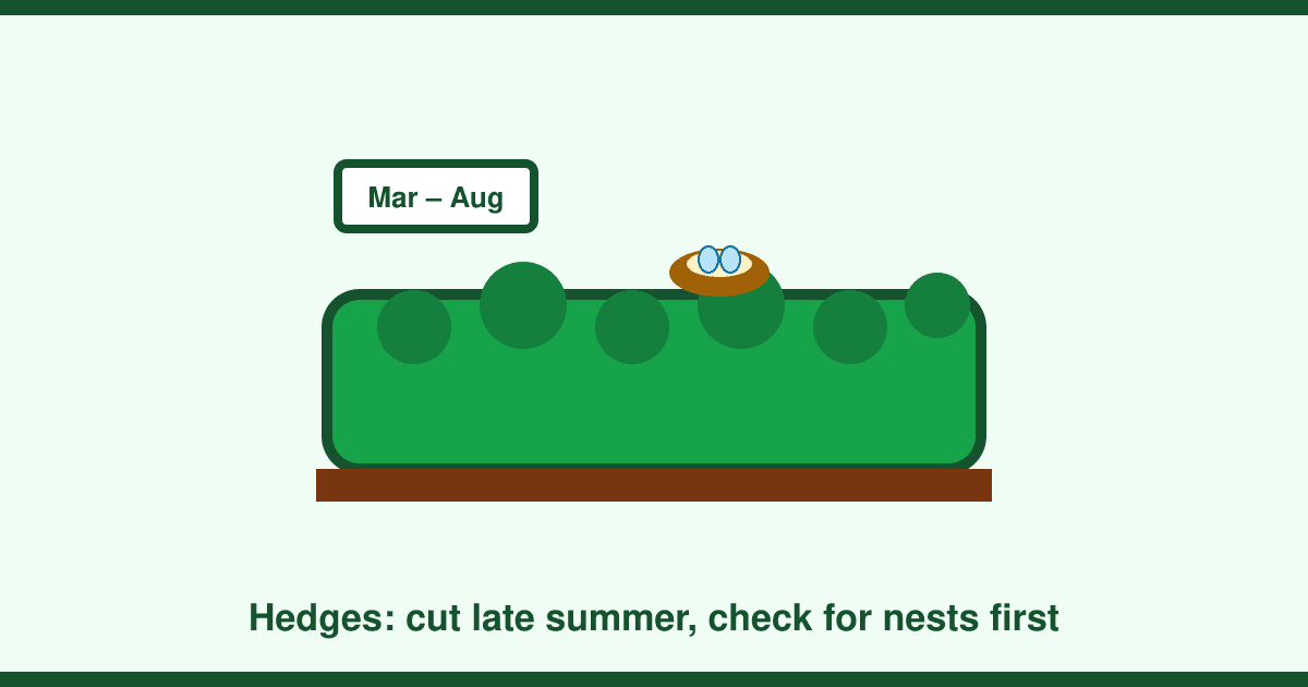 Hedge cutting: nesting bird season, the High Hedges Act and neighbour disputes