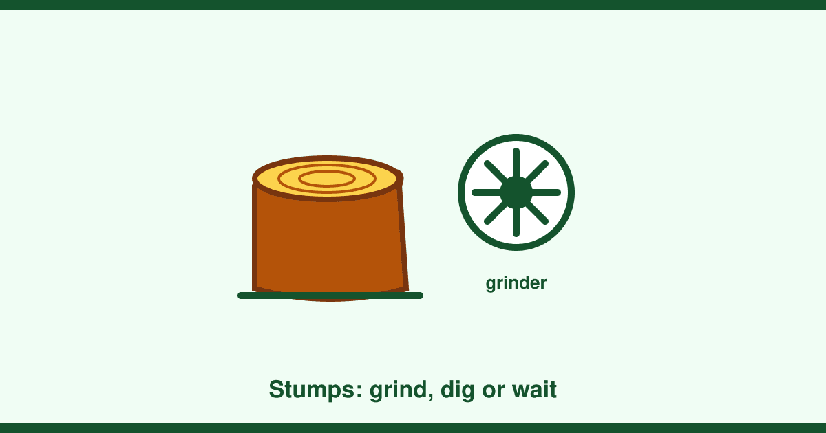 How to remove a tree stump: grinding, digging, chemicals and what each costs in the UK