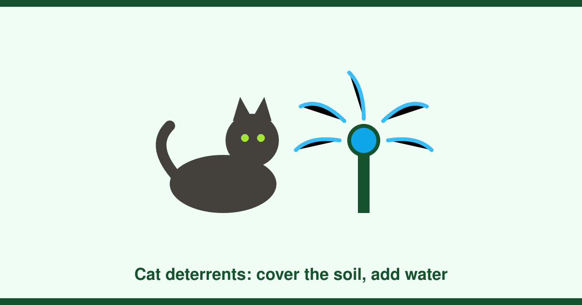 How to stop cats fouling in your garden: what works, what does not and what the law says