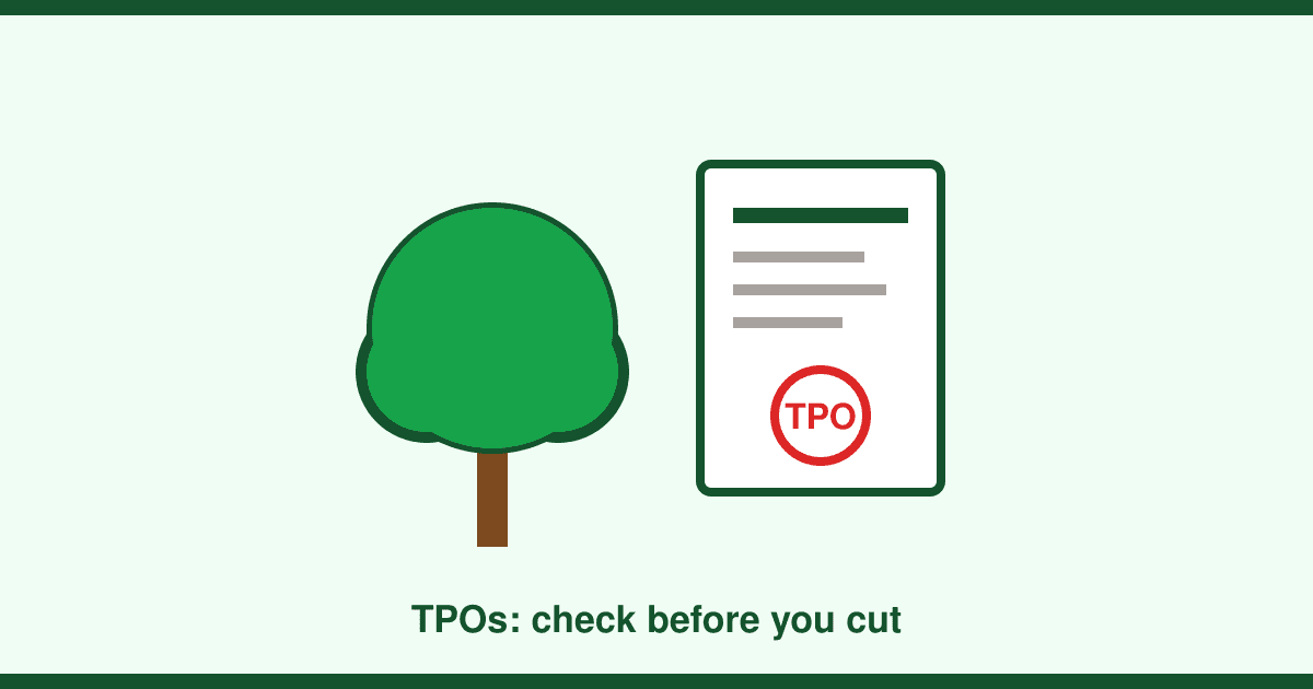 Tree Preservation Orders explained: when you need permission to prune or fell a tree