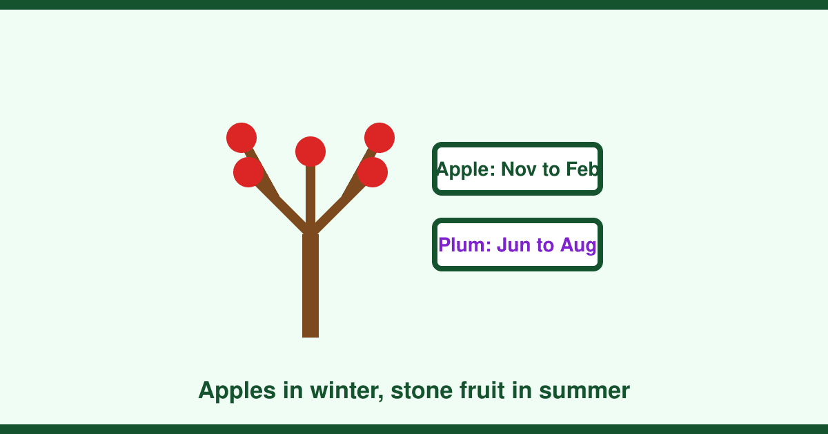 When to prune apple trees in the UK, and why plums and cherries follow different rules