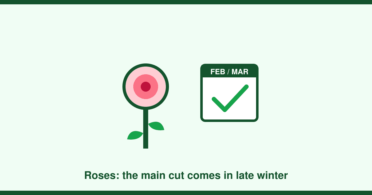 When to prune roses in the UK: a month-by-month guide for every type