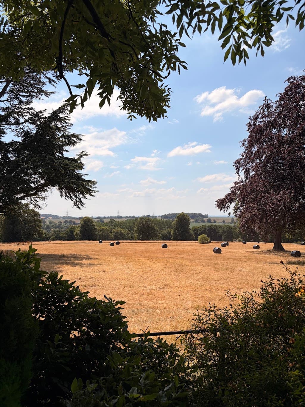 Green City Grounds Maintenance
