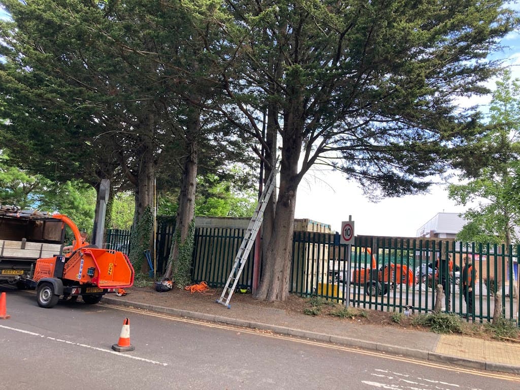 Big Heart Tree Care
