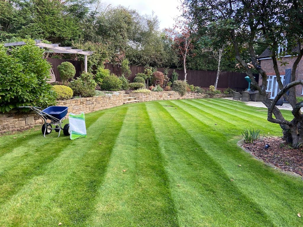 Deep Green Lawns
