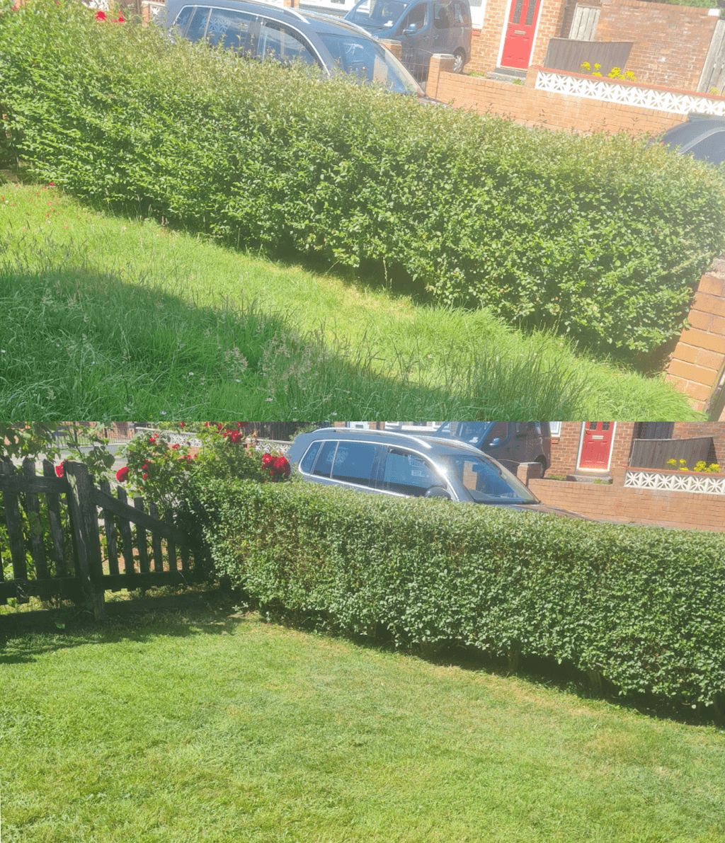 Watson's Gardening and Waste