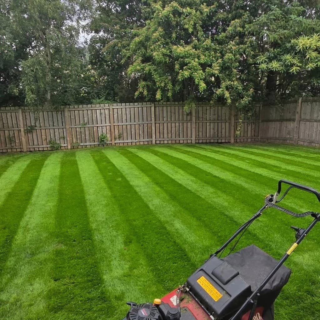 DSM Lawn & Landscape
