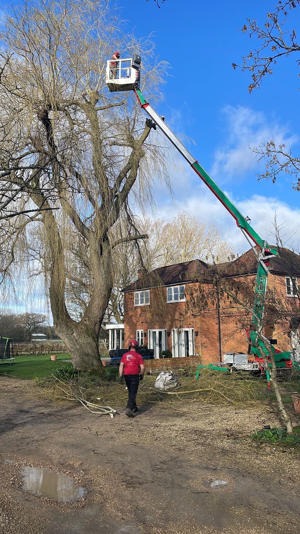 Beechwood Tree Care - Tree Surgery, Tree Removal & Hedge Trimming