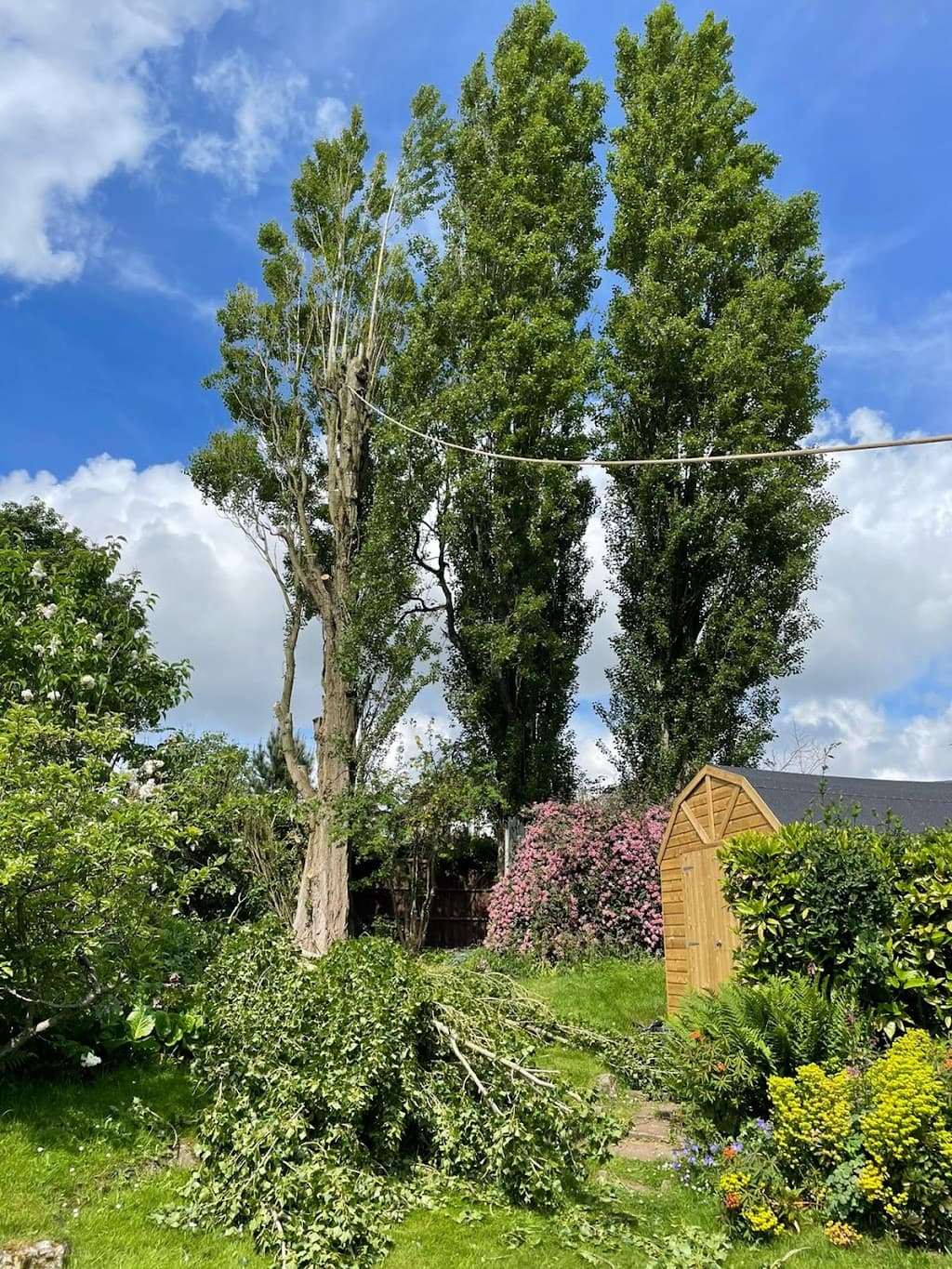 J and Son Trees and Landscapes