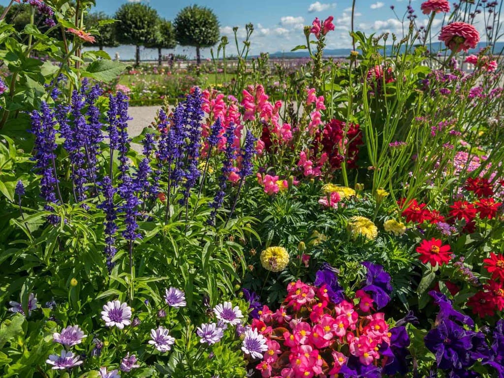 Southampton garden services