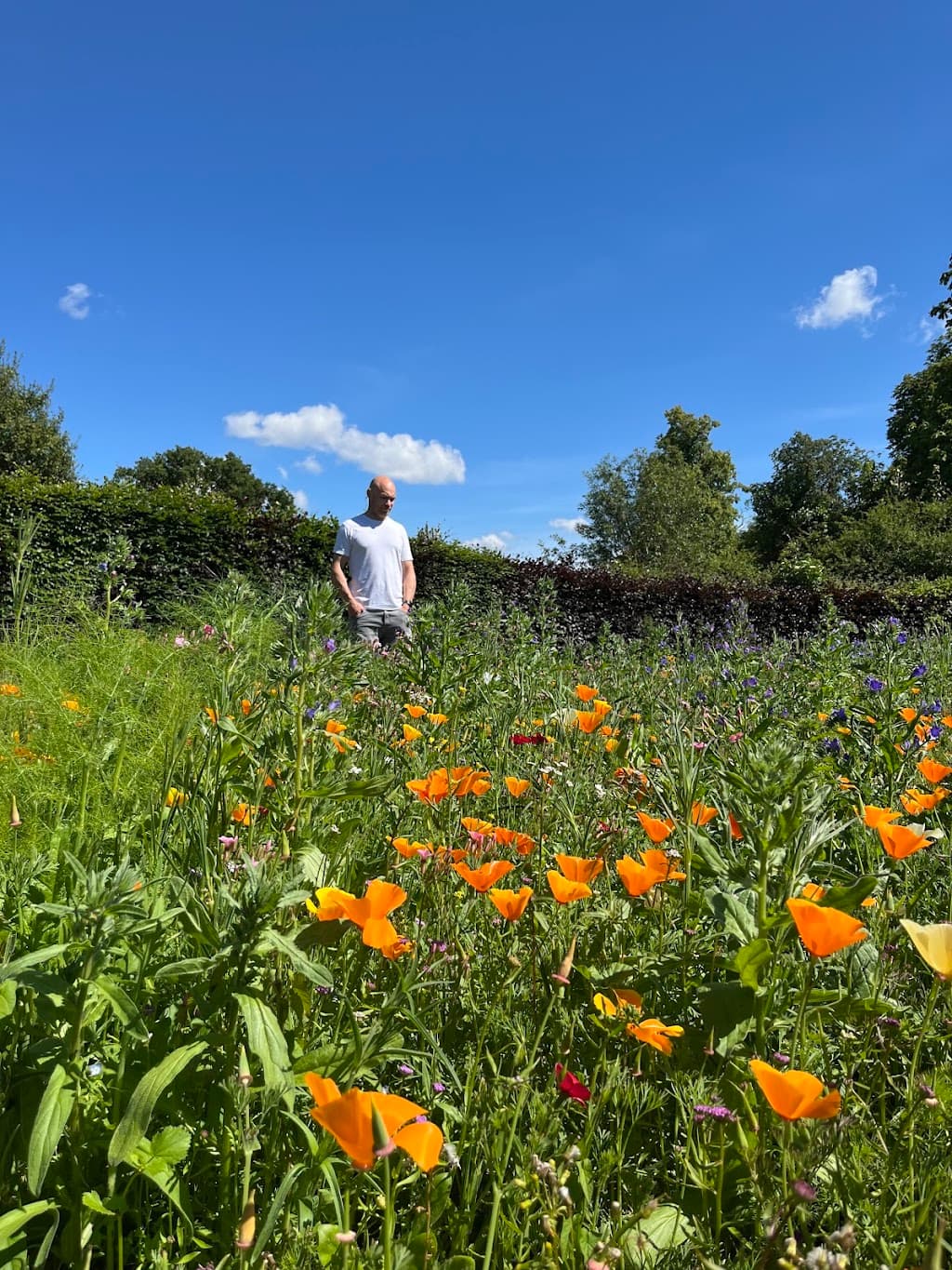 Tidy Gardeners Bristol