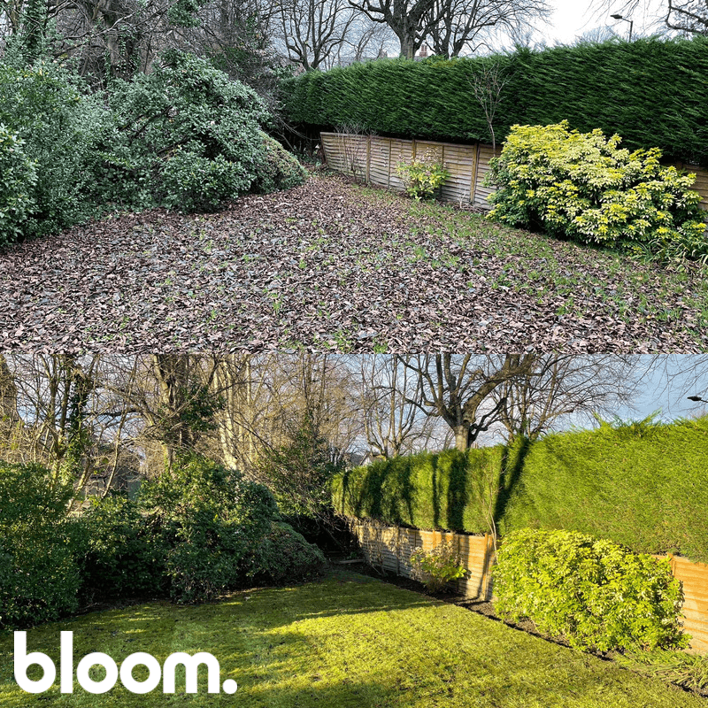 Bloom Gardening