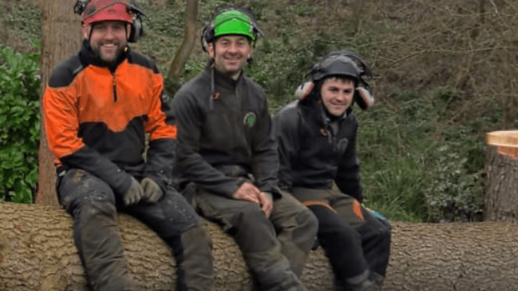 Oakwood Tree Services