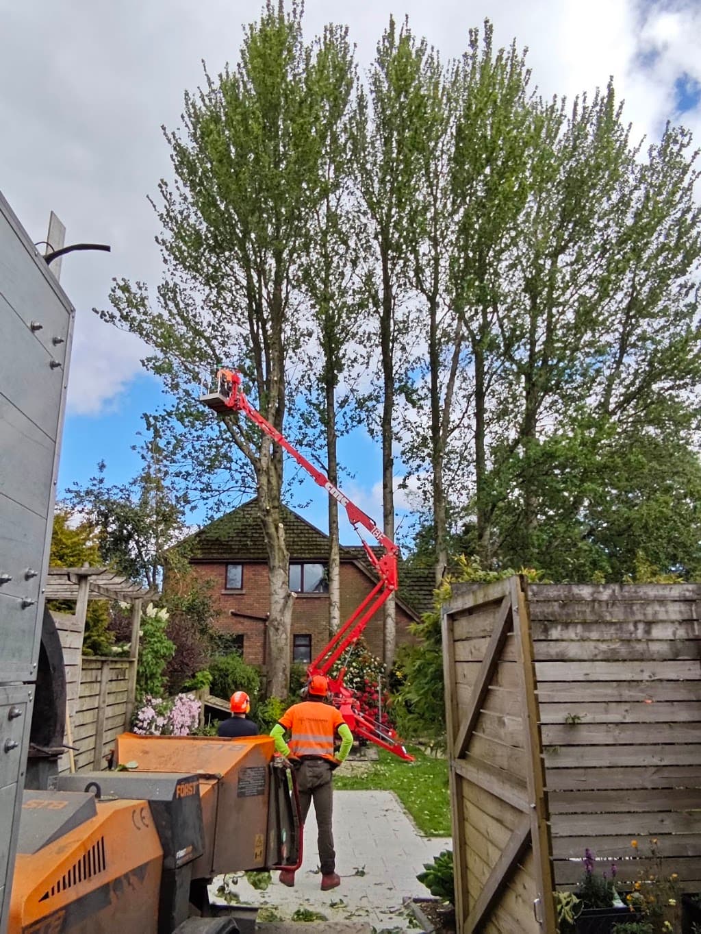 Treescapes NI