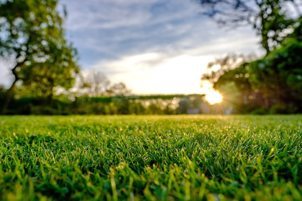 Sycamore - Grounds Maintenance & Lawn Care