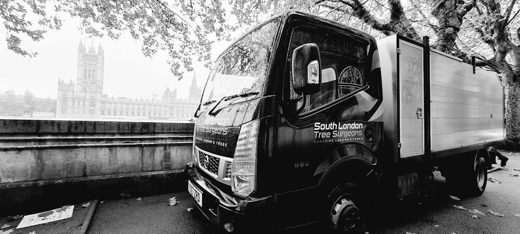 South London Tree Surgeons Ltd