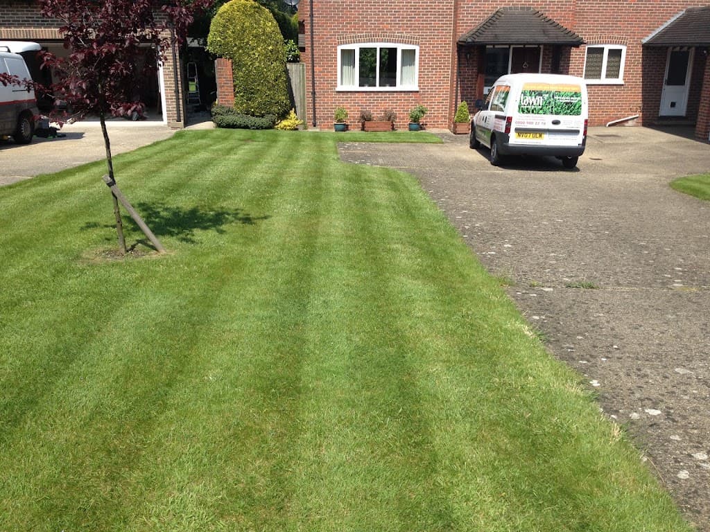 Lawn3 Reading