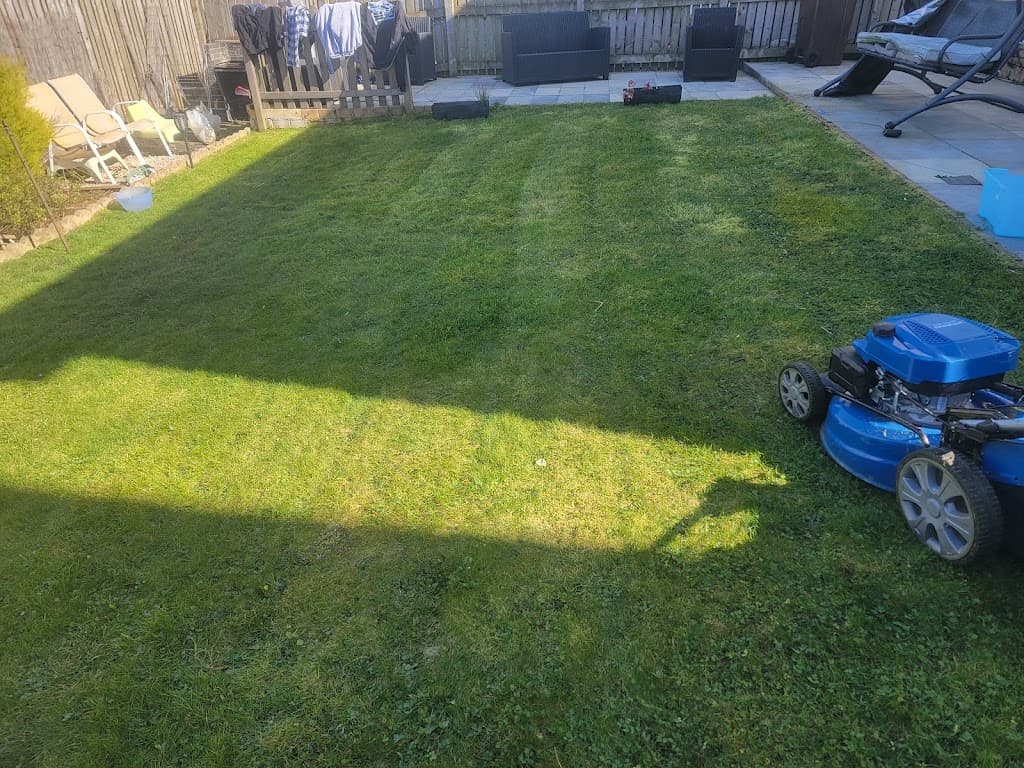 Darnley lawn care