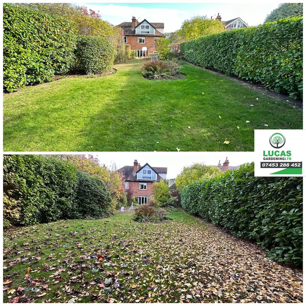 Lucas gardening LTD