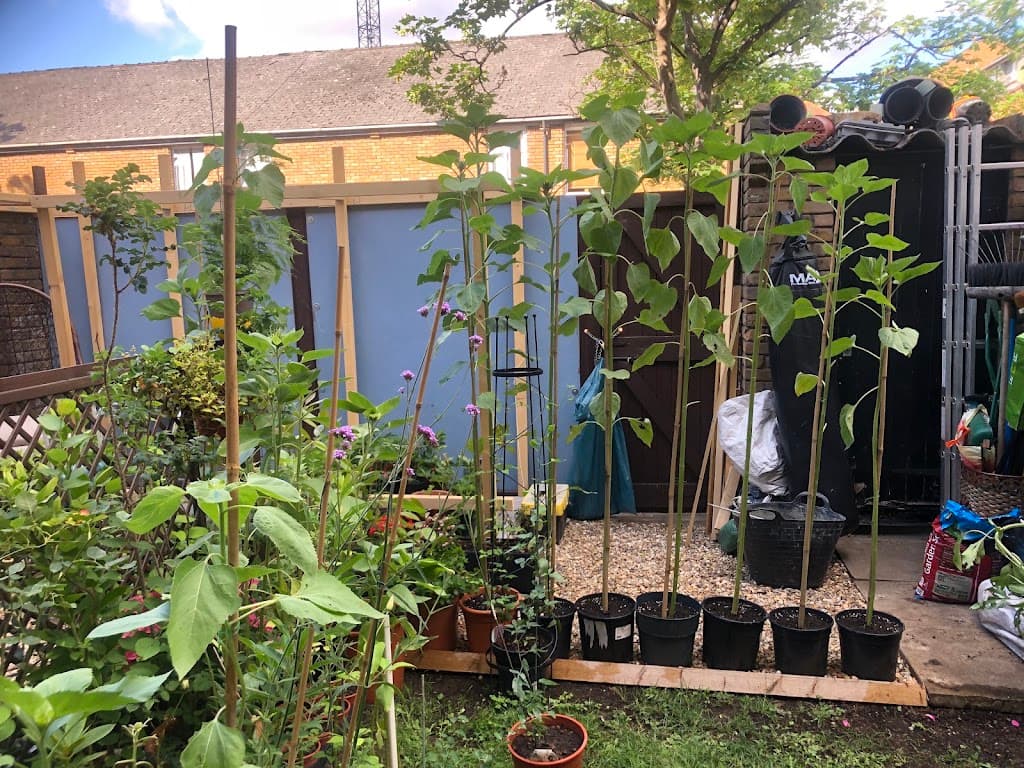 LF Best Gardening Services