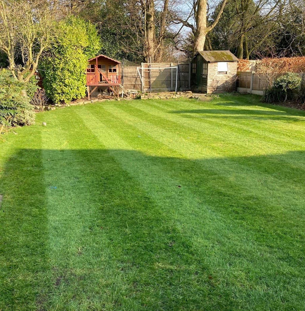 The Lawn Business