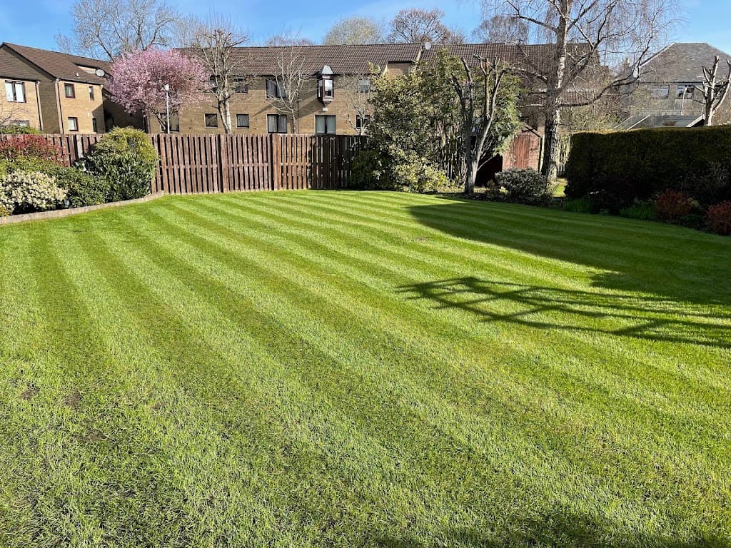 Thorntonhall Lawn Care (TLC)