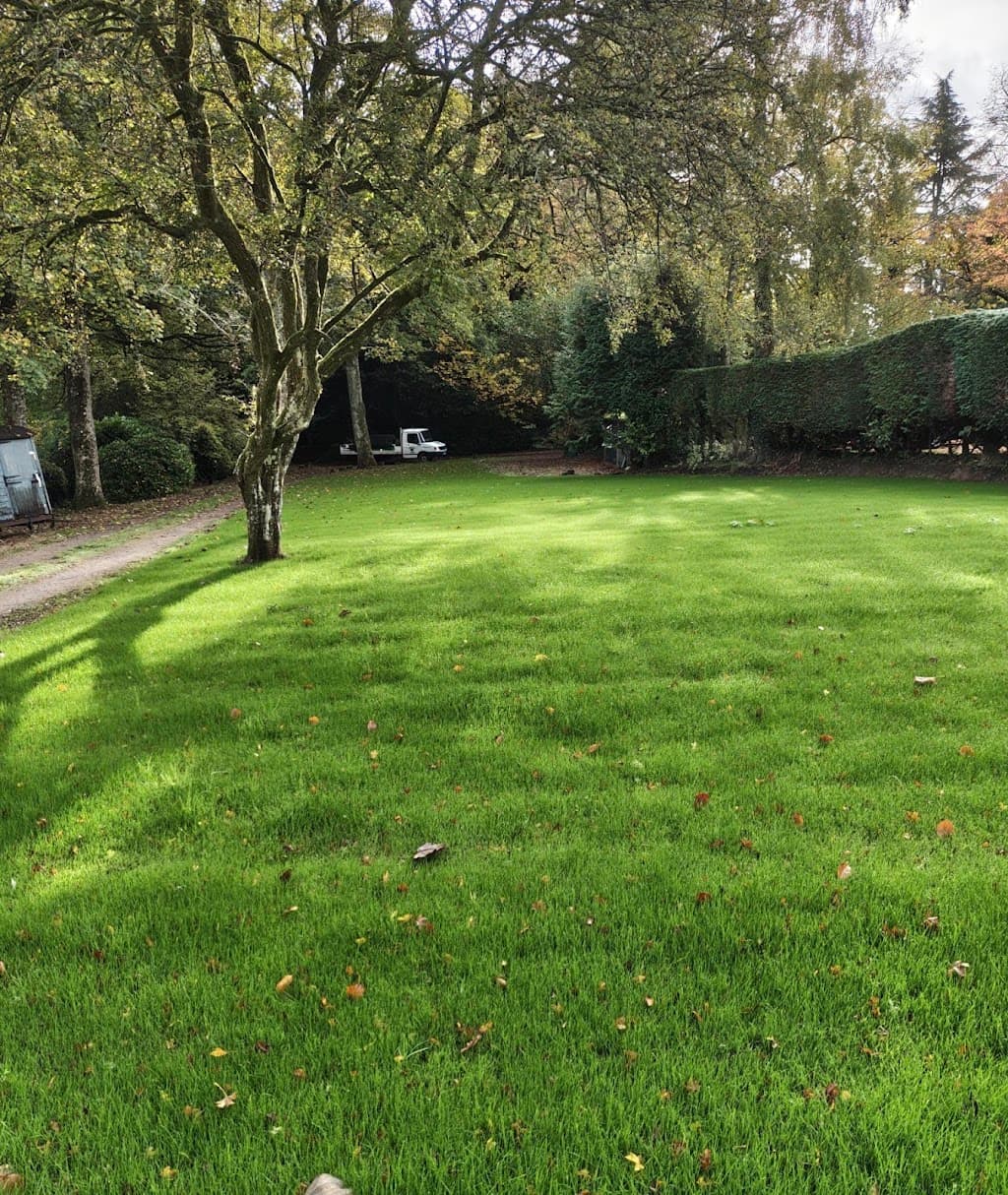 Hedge End Lawns. Turf laying. Lawn care. Grass seeding