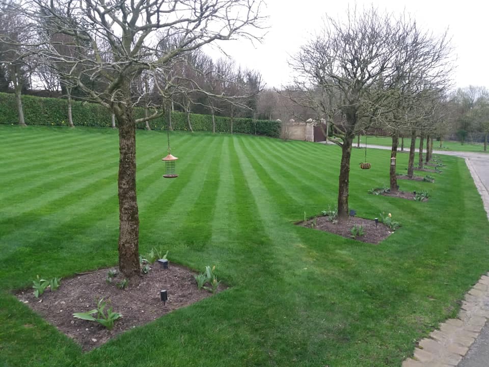 Devine Lawn Care