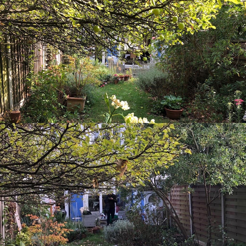 The Southwest London Gardener Ltd
