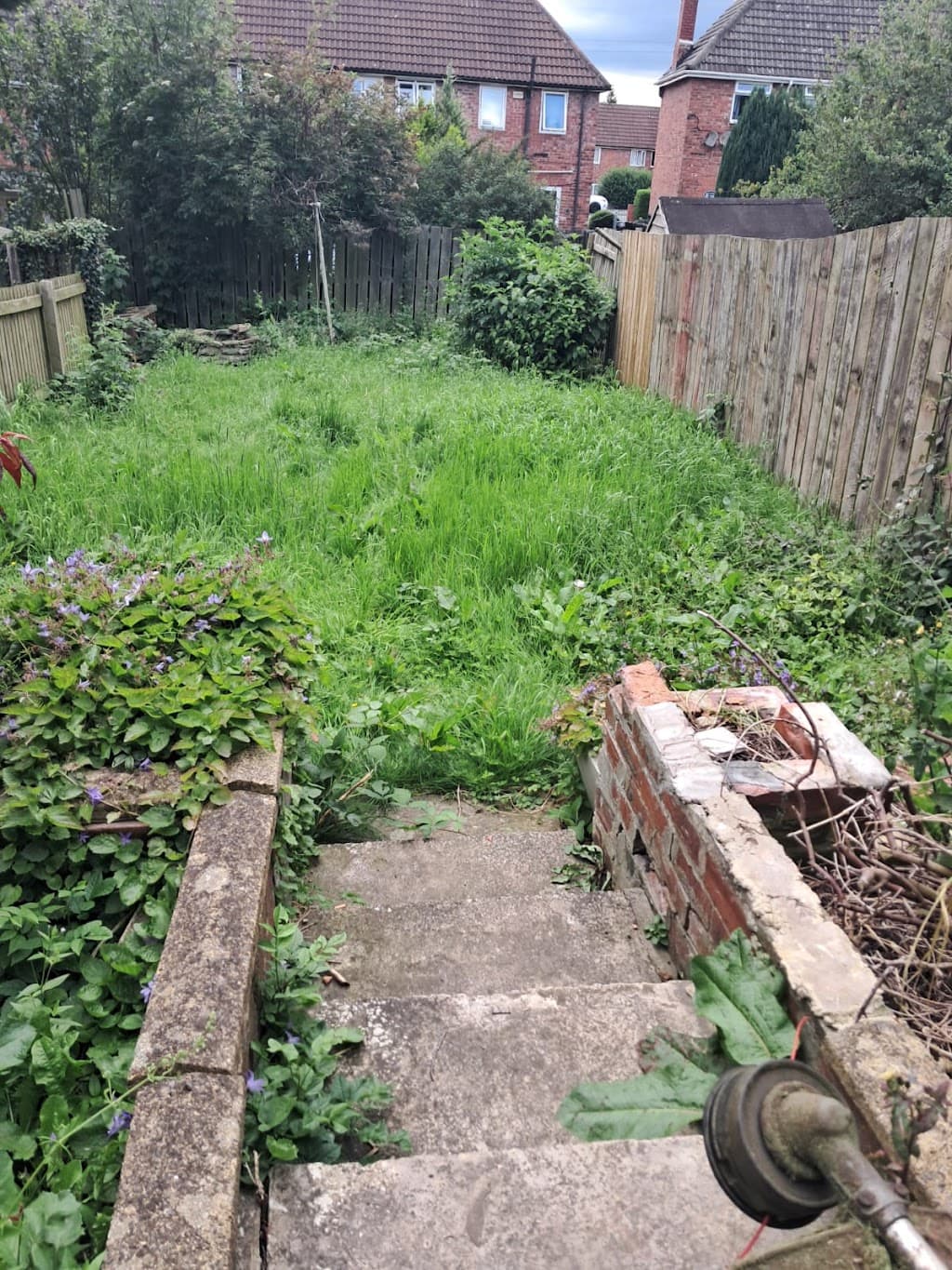 M.Levy Garden Services