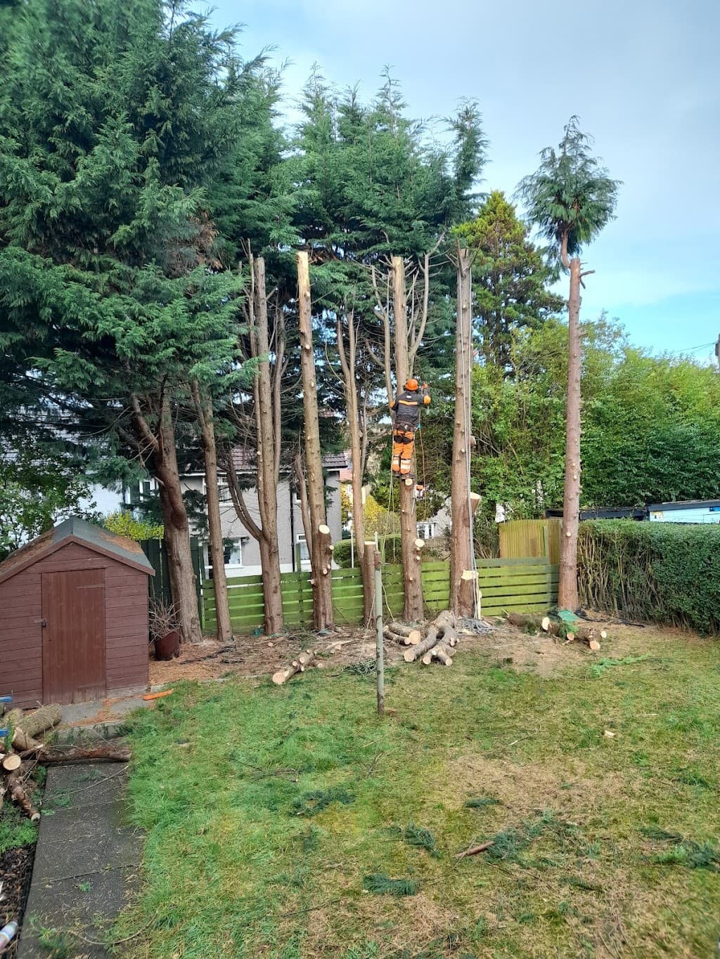 Cathcart Tree Surgeons