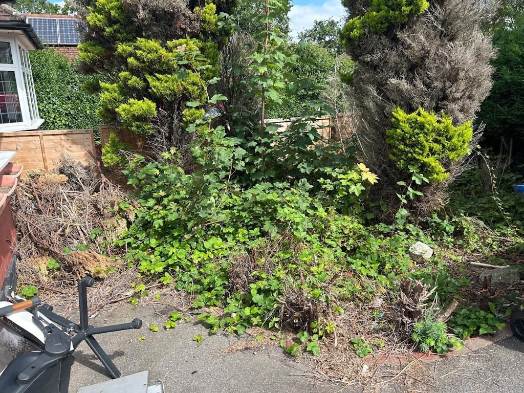 LA Gardener | london