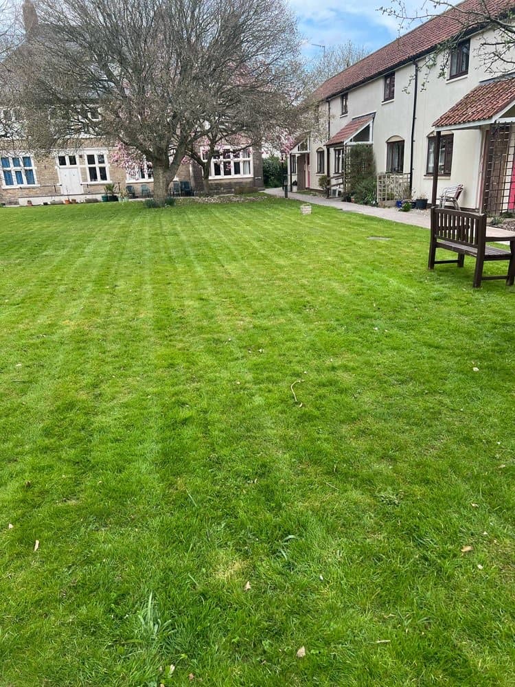 Mister Mower