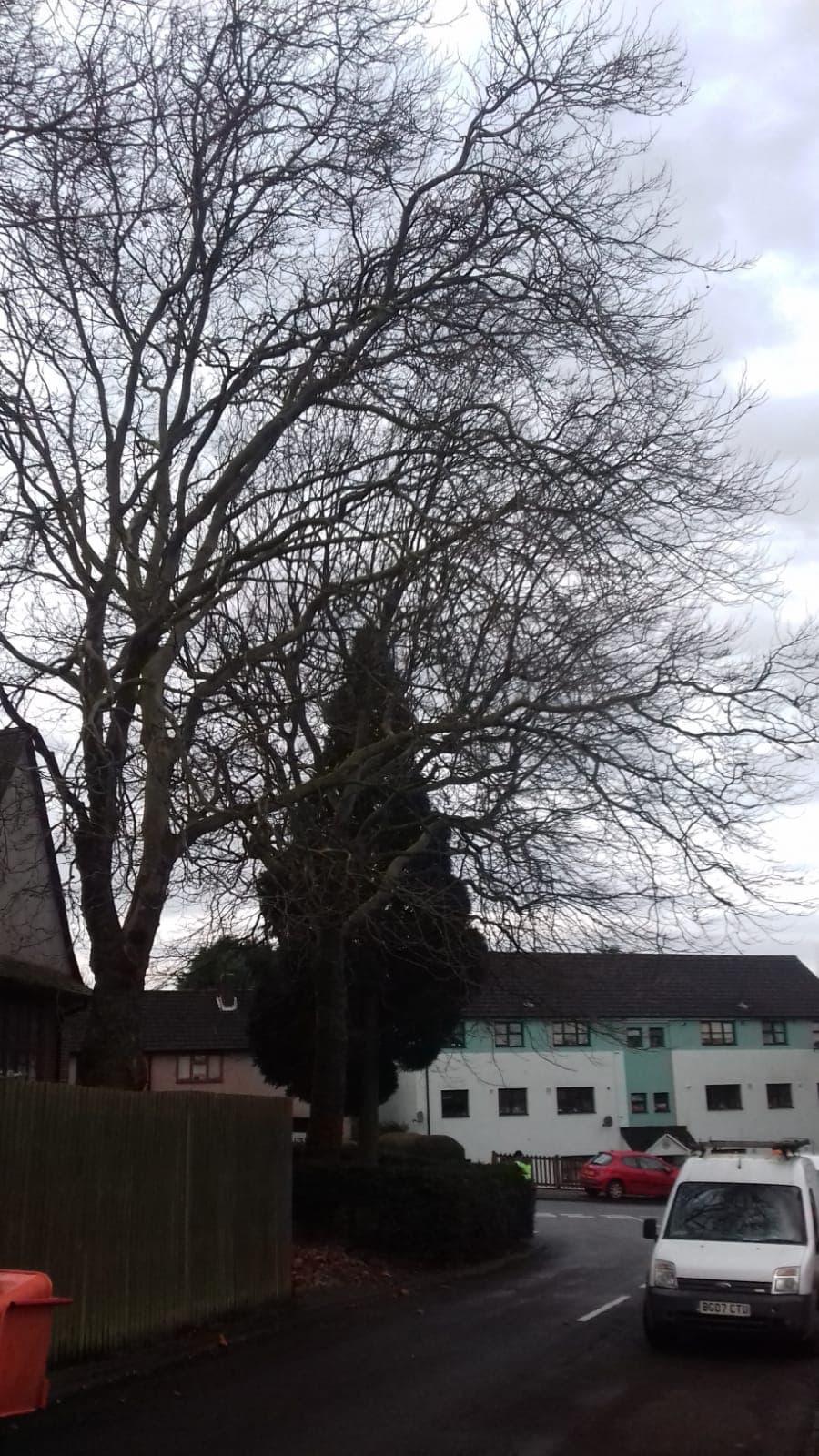 Davies Tree Services LTD