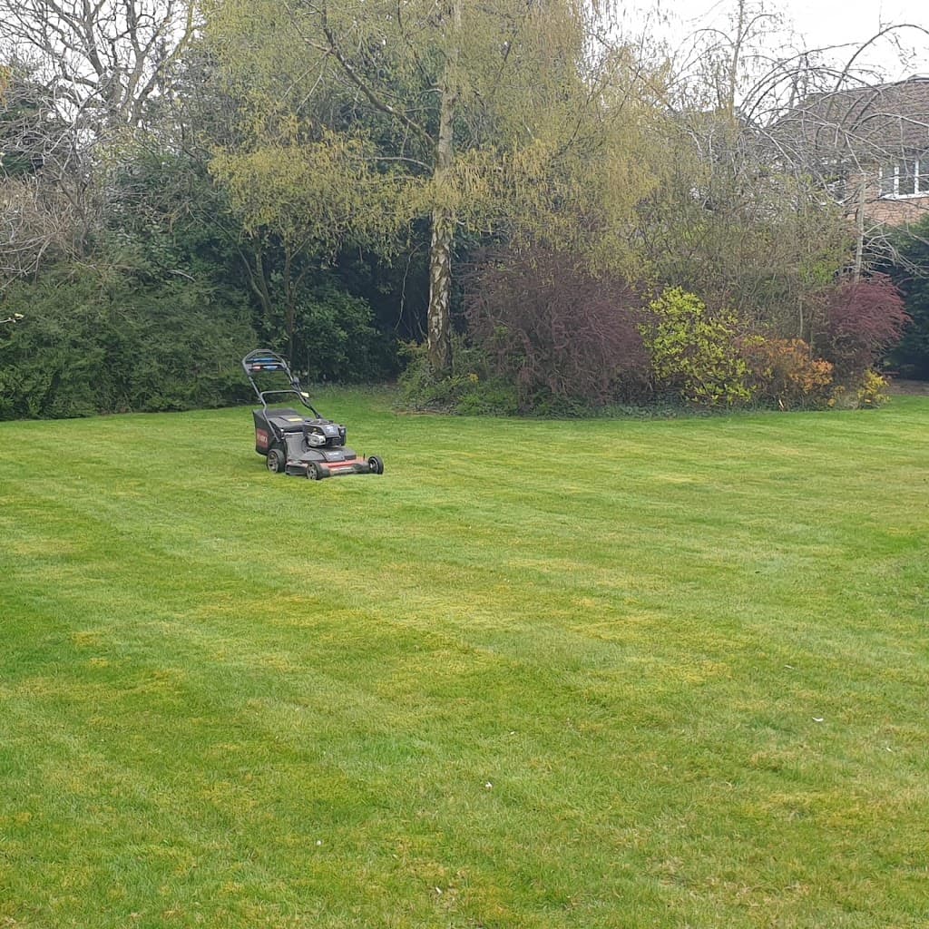 John's Gardening & Mowing Services