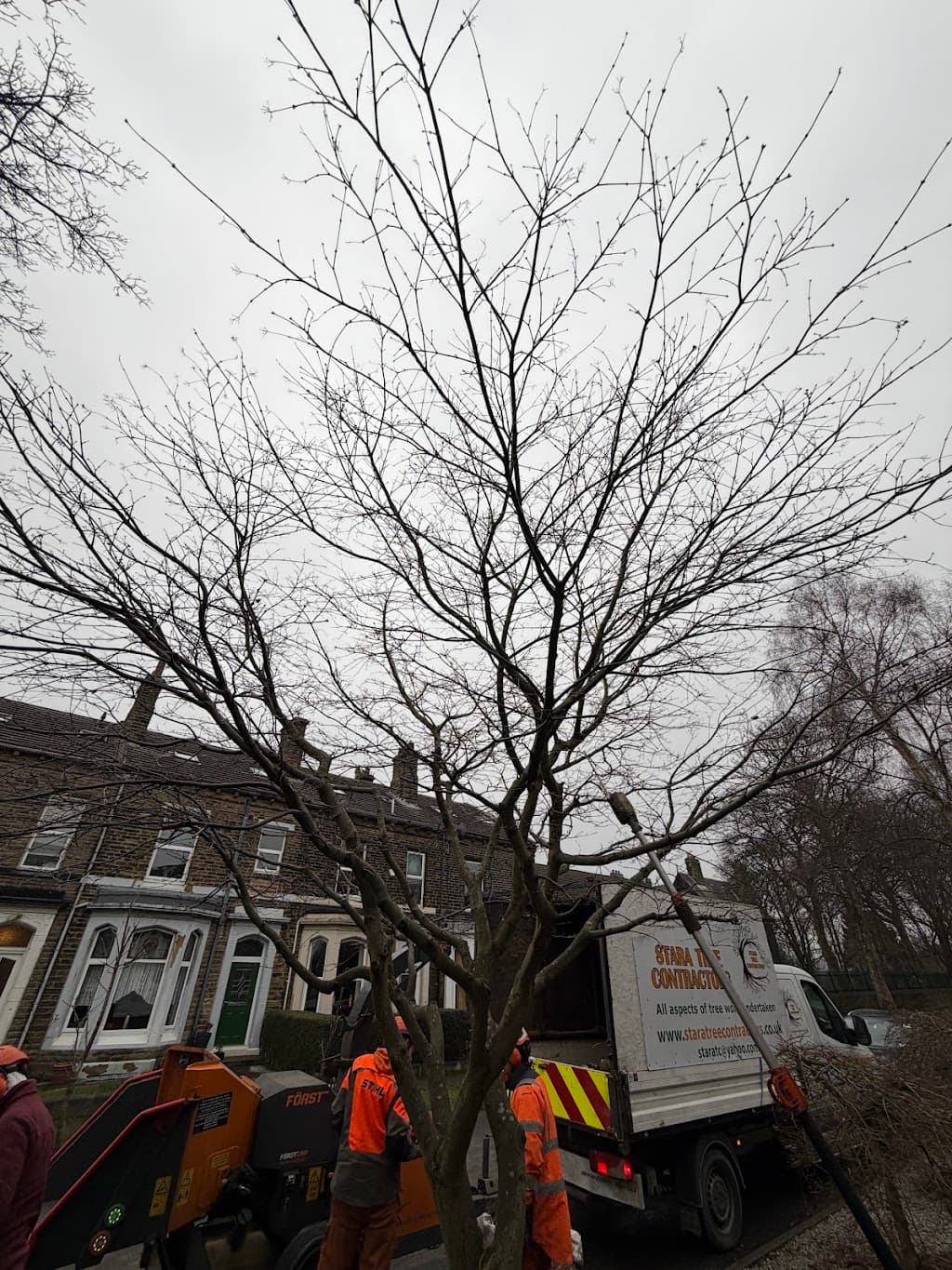 Stara Tree Contractors