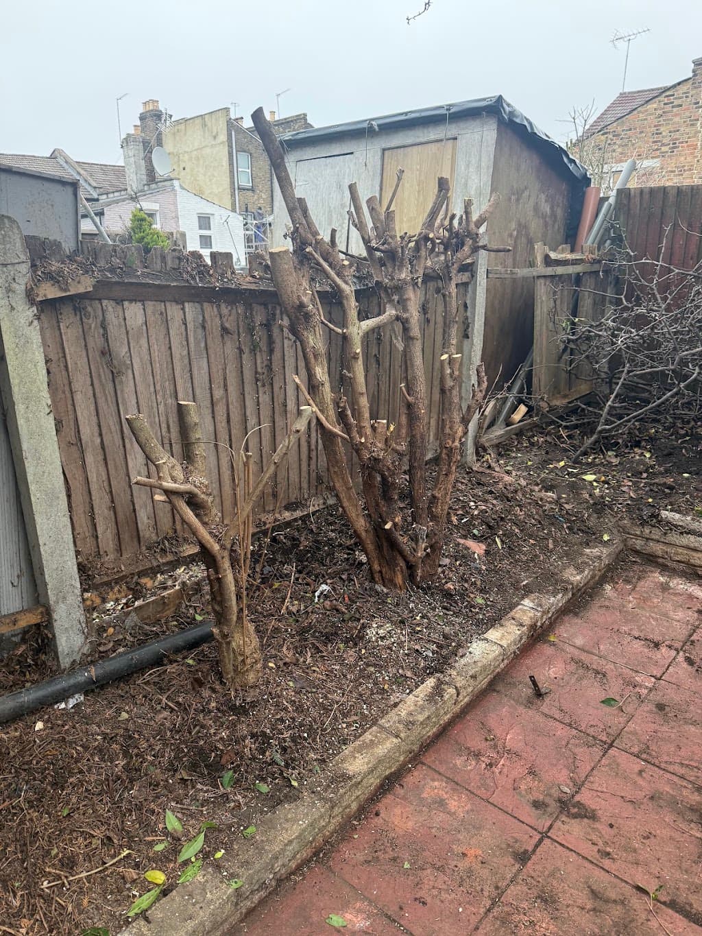 Green Trees, Tree and garden services