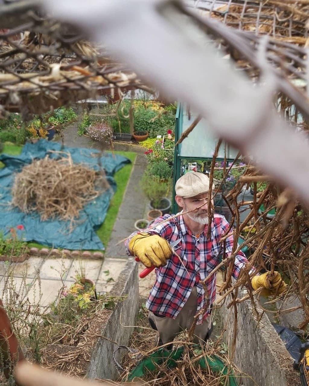 Jackdaw Grounds Maintenance and Gardening