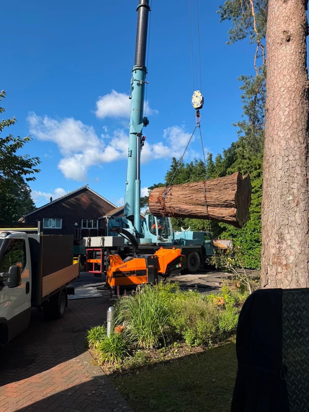 HRG Tree Surgeons