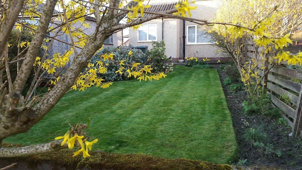 Four Season Garden Maintenance