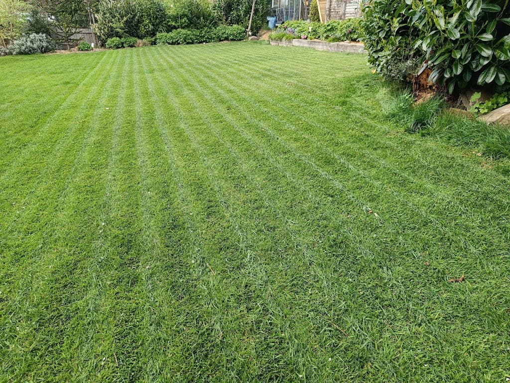 Grass Guru