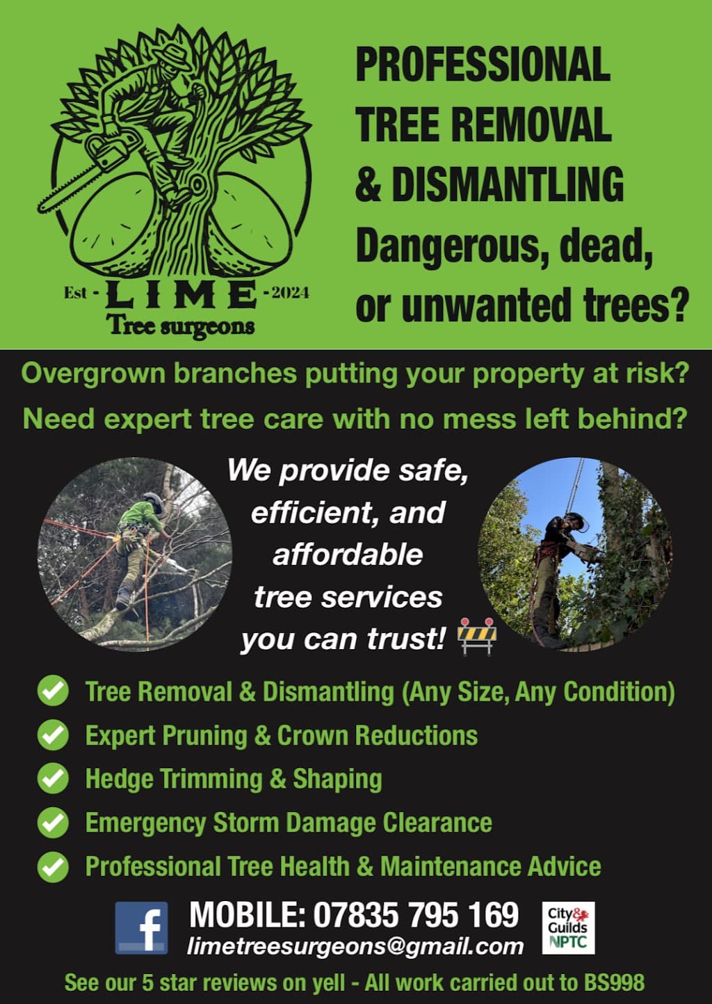 Lime Tree Surgeons