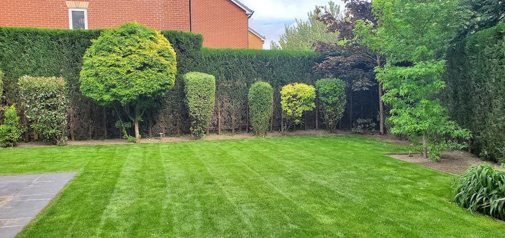 Mow N Go Garden & Landscape Services