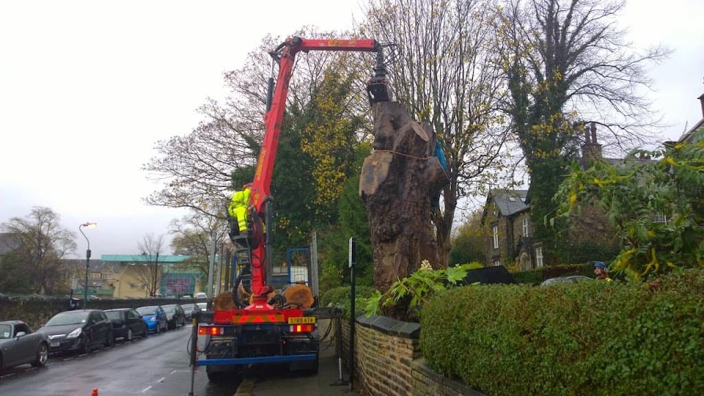 DB Tree Care