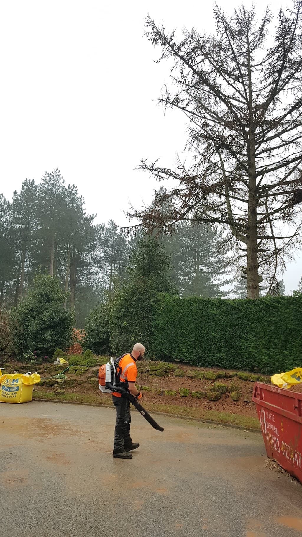 Tree Hugger & Son Tree Services Limited