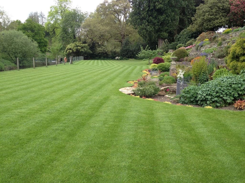 Greensleeves Lawn Care Brighton