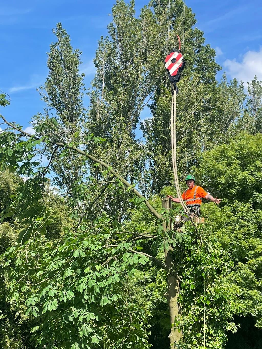 Darcy Ltd - Tree Surgery & Arboriculture