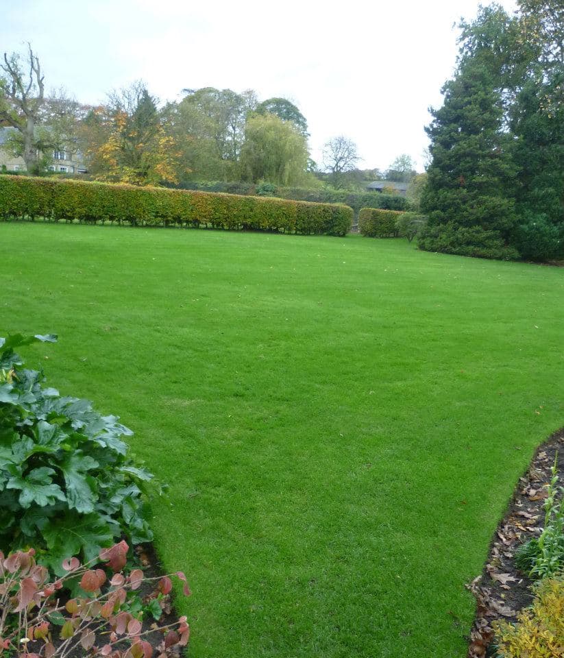 Leeds Lawn Care, Lawn Care Leeds, Lawn Treatment Service