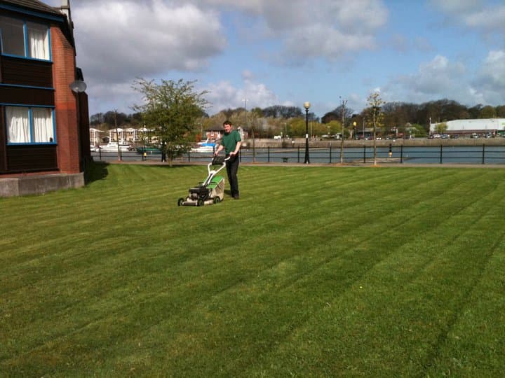Weed Warriors Garden Services (Manchester)