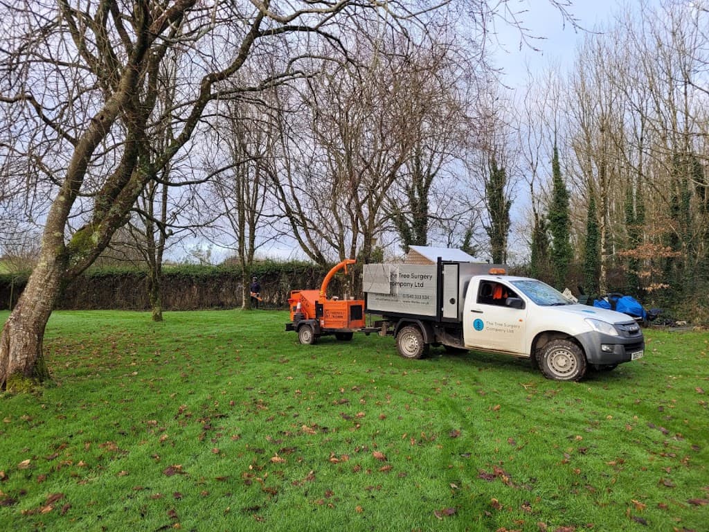 The Tree Surgery Company Ltd